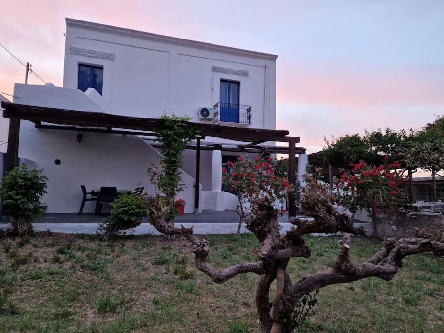 Stromboli Vacanze Eksteriør billede